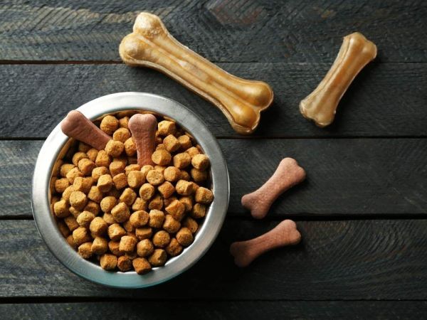 Les avantages des croquettes premium pour la santé canine